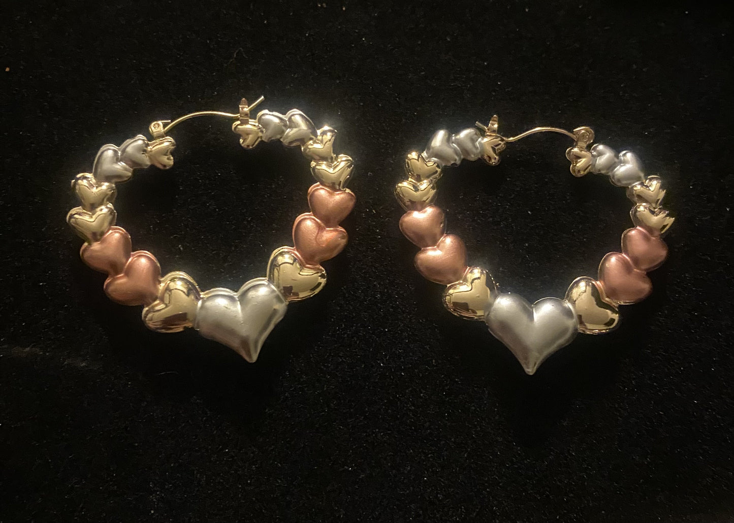Stainless Steel Tri Color Heart Shaped Earrings
